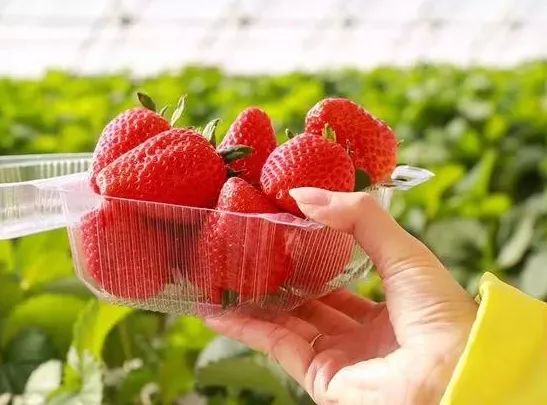 玩的地方推荐三天游,附近旅游攻略三天游