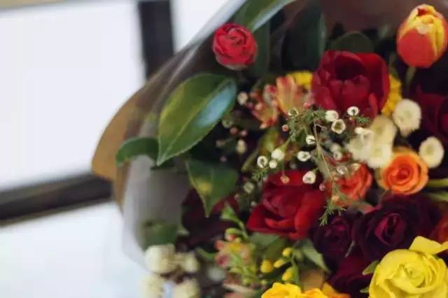 北京才女徐静蕾,徐静蕾李亚鹏北京台