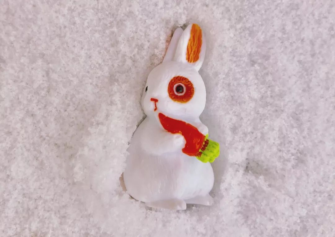 2018年大雪时刻,2018年的大雪和今年大雪