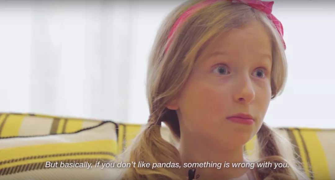 老外多爱猫咪,老外多爱中国