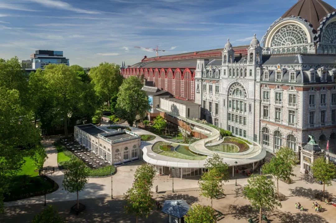 老外到底多喜欢熊猫,老外看中国大熊猫