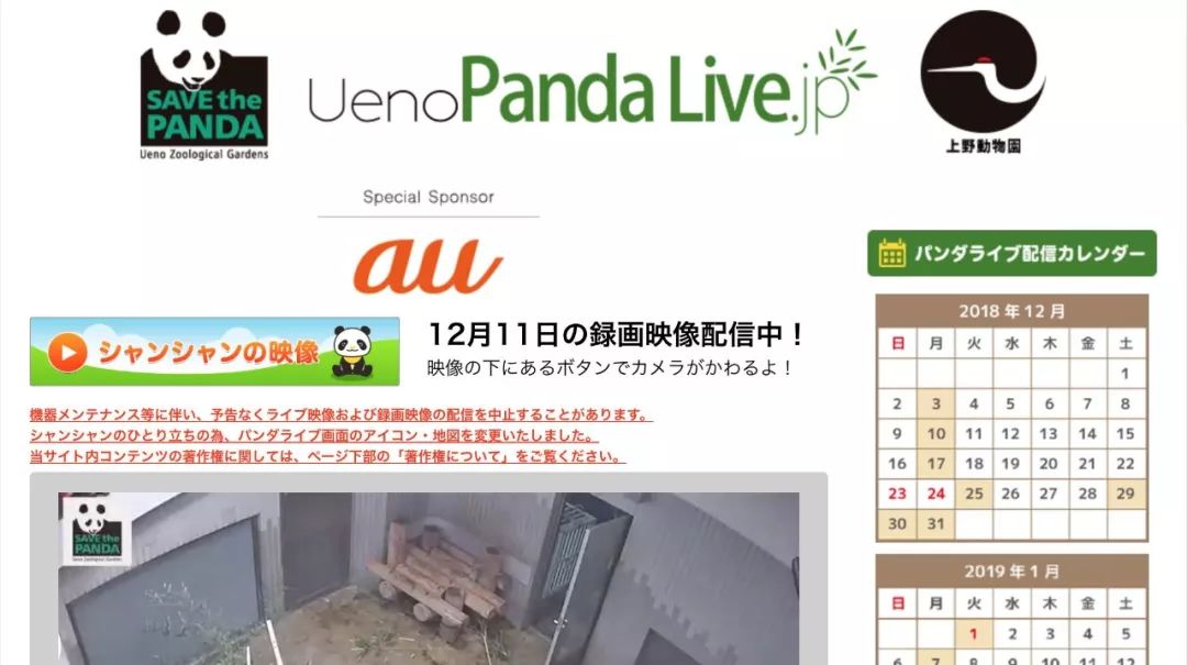 老外多爱猫咪,老外多爱中国