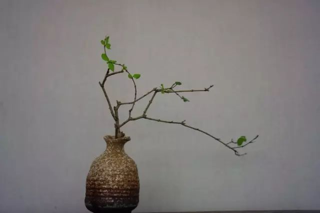 二十四史经典语录100个,100句古今绝美句子