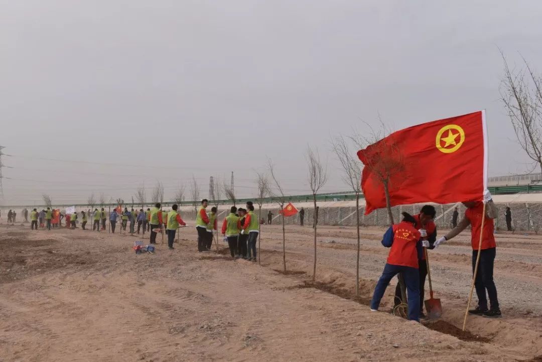 白银市共青团工作,金昌市共青团名单