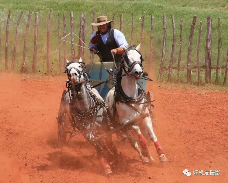 摄影后期怎么提高照片清晰度,不会正确对焦难怪你拍照不清晰