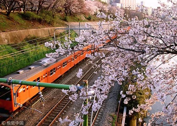 日元大跌适合去日本旅游吗,日元贬值去日本旅游