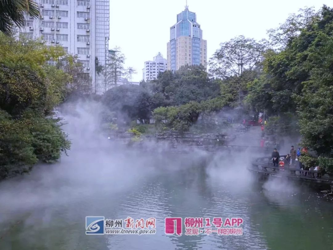 柳侯公园美景,柳侯公园全部风景