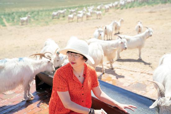 重新定义物流读后感,重新定价日是什么意思