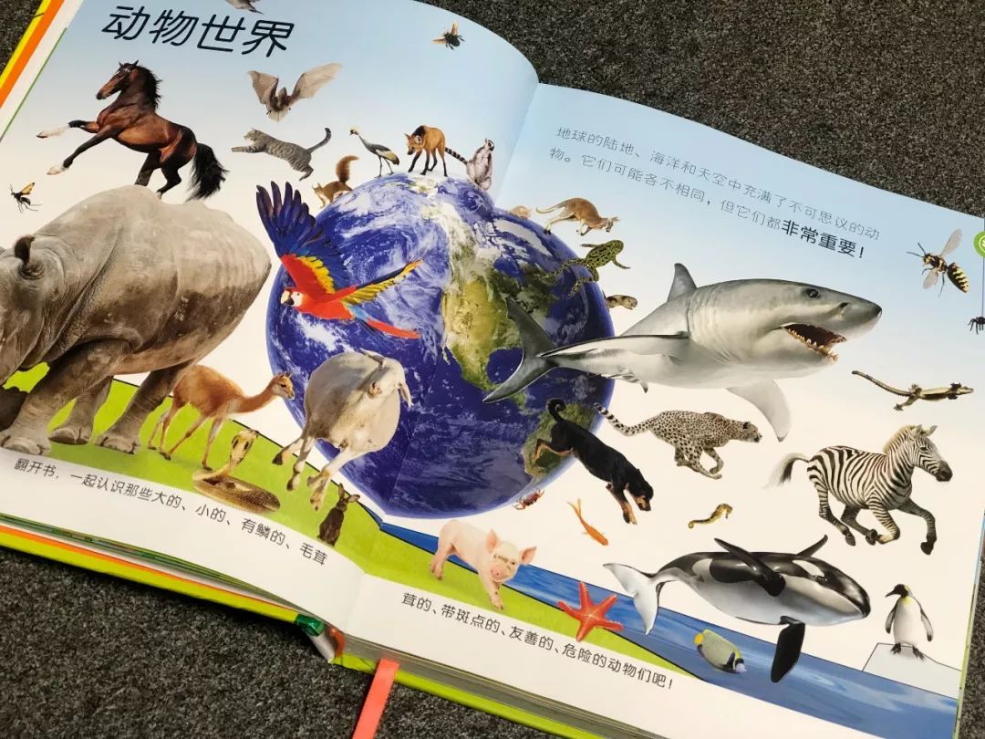 现在的孩子真是不知道怎么想的,现在的孩子真的是脑洞大开