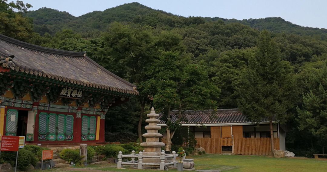 园林大讲堂｜清溪川：韩国人最引以为傲的生态改造项目