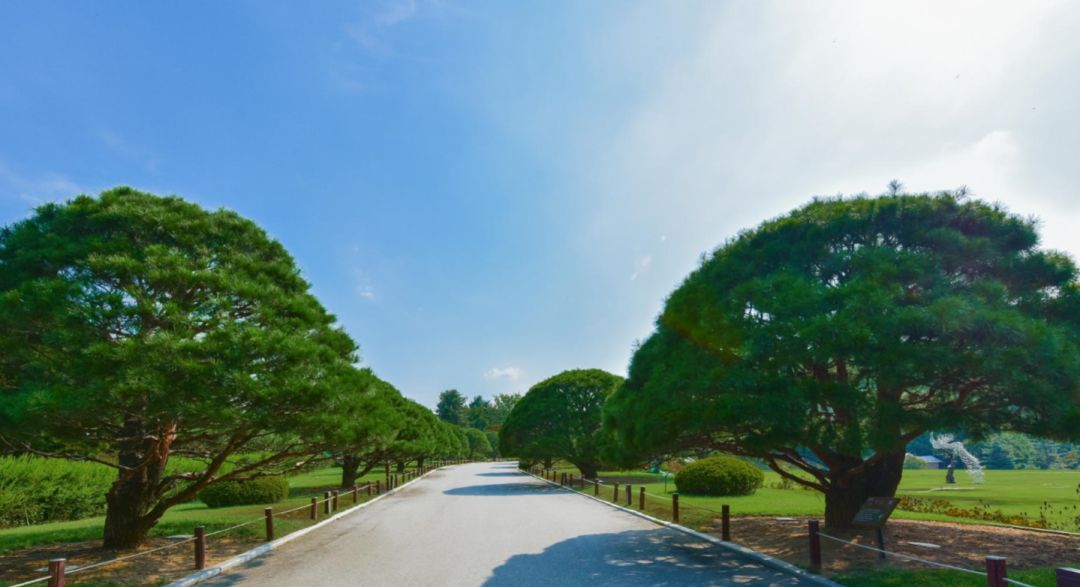 园林大讲堂｜清溪川：韩国人最引以为傲的生态改造项目