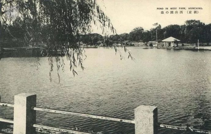 长春老照片1983年的长春街景,长春市珍贵老视频