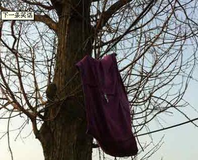 海南人*裤内**告急，据说这样*裤内**干得比较快哦~