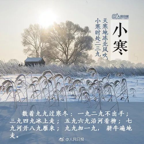 本周六深圳的最低气温和最高气温,12月25日深圳天气