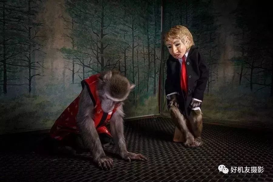 荷赛大奖作品,荷赛2022年获奖作品