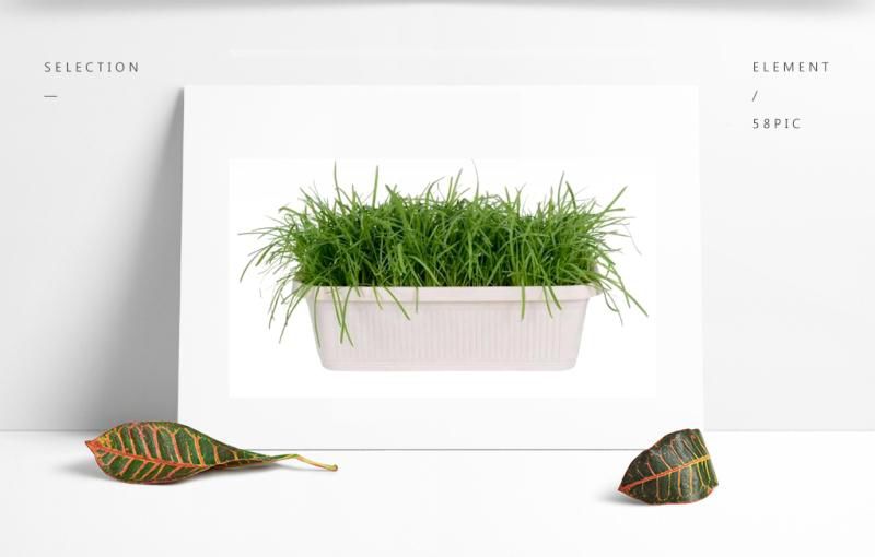 寻找一起做事志同道合的合伙人,找正能量的合伙人