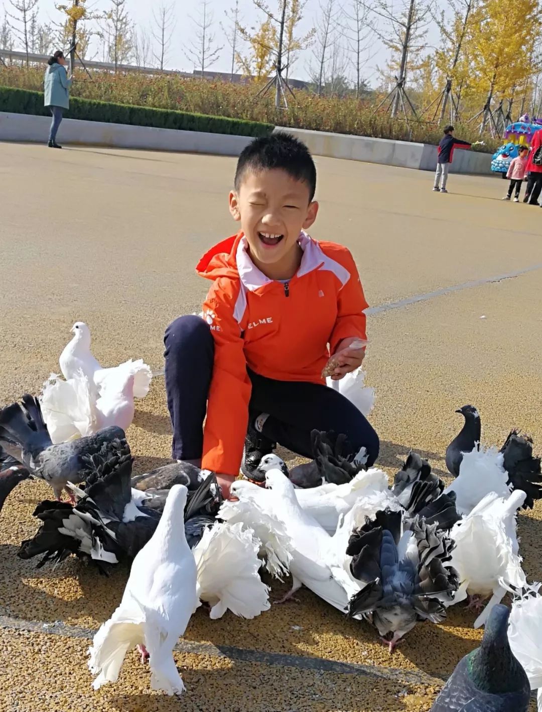 南粤杯恒大足球队,中国足球小将总决赛