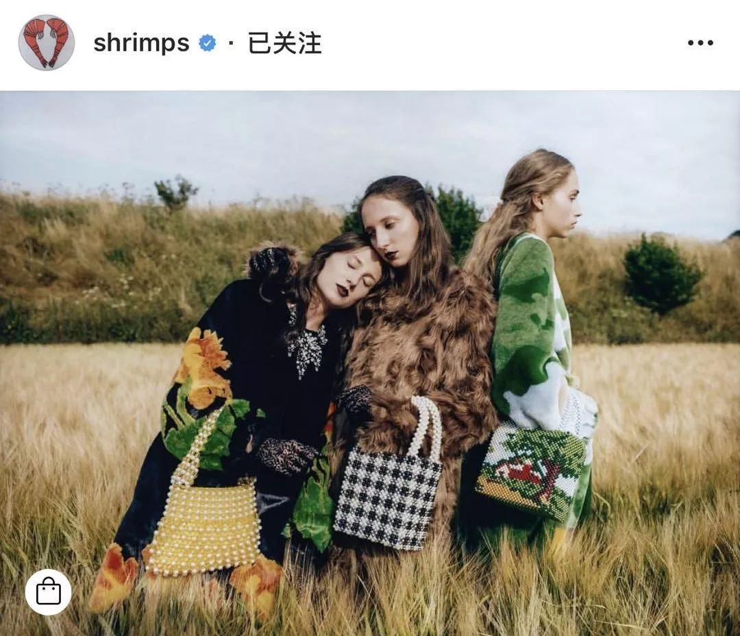 包包买小众包还是经典包,有哪些小众很贵但值得买的包