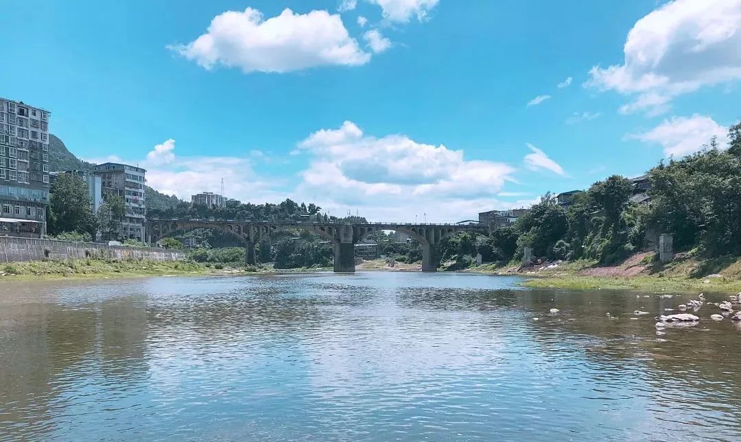 恩阳高考成绩喜报2023,恩阳高考成绩喜报