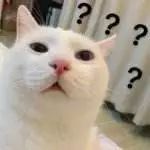 cc精华液正品是什么牌的,cc精华液有假的吗