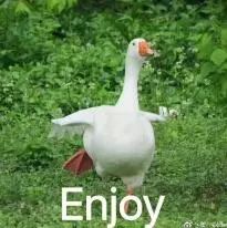 144hz显示器多少钱才算正常,144hz显示器推荐常用多少赫兹