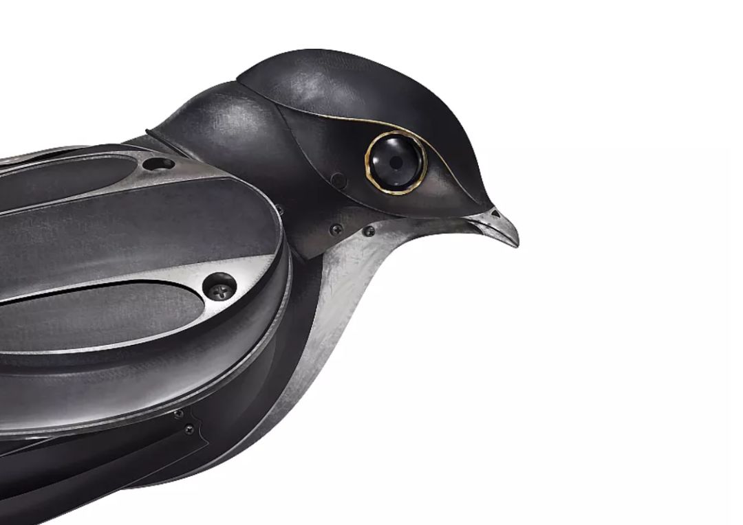 设计师需要学习哪些,当设计师需要学什么绘画