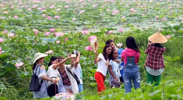 《中国改革报》聚焦洪湖变化透露出这些发展趋势