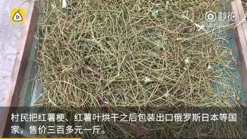 不可思议的新疆手工艺品,农村不可思议的东西
