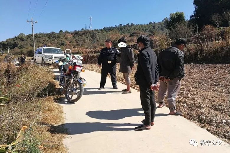 平安守护严厉打击违法犯罪,平安五号违法曝光台