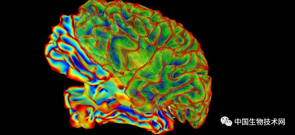 真菌感染会导致哪些疾病,真菌感染会引起癫痫吗