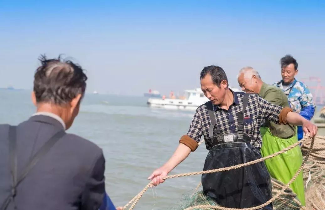 今年长江刀鱼,长江刀鱼最新规定