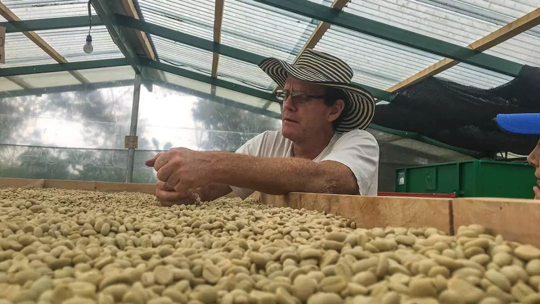 中国最大的咖啡种植产区,亚洲的咖啡产区特点