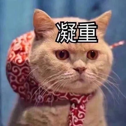 春节广西停运快递时间表,广西快递停运最新官方消息