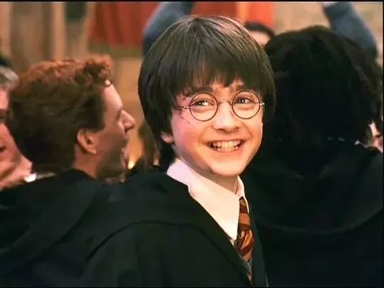 哈利波特麻瓜完整版,哈利波特麻瓜介绍