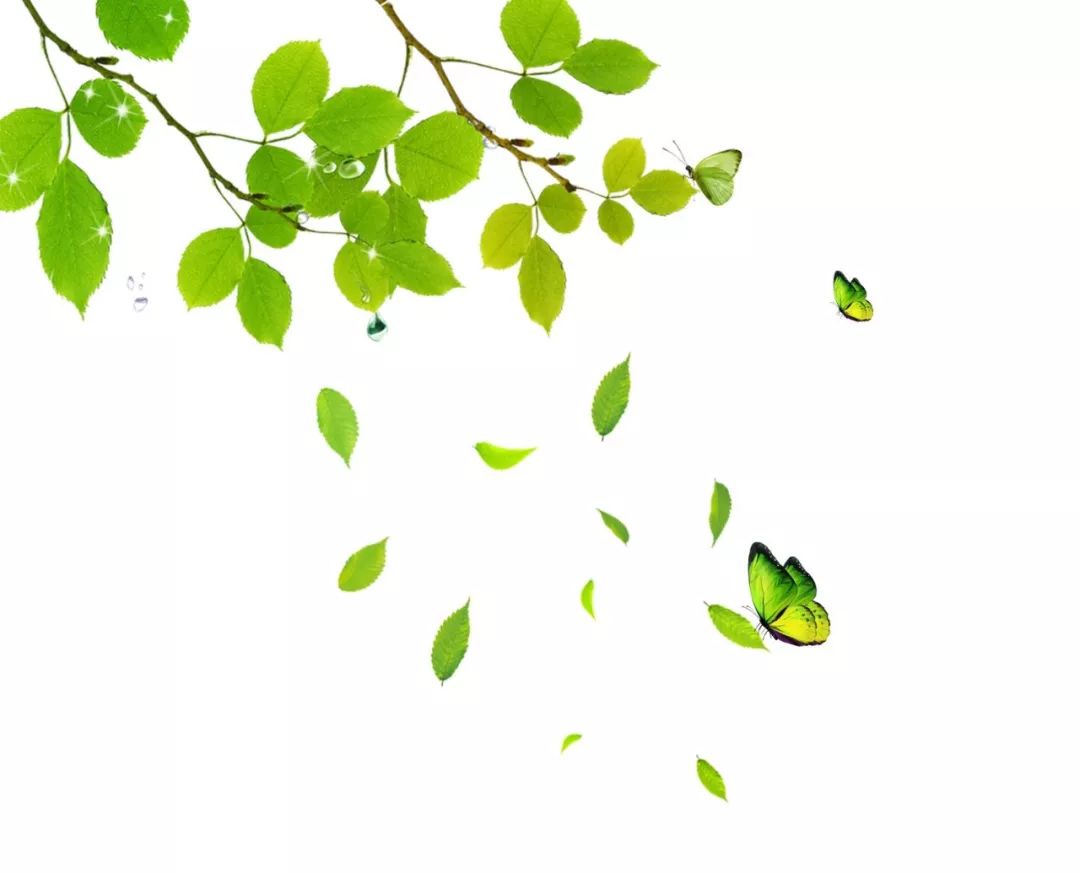 西安最美公园秋景图片,西安动物园旅游手绘示意图