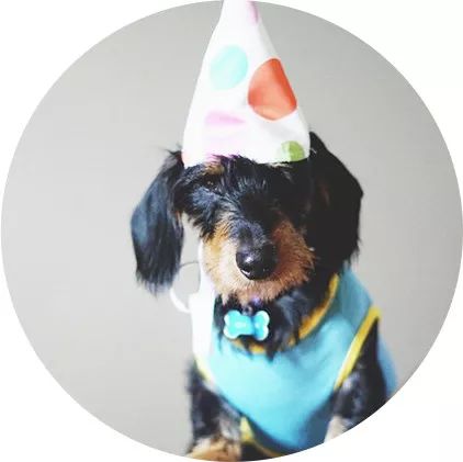 适合自己用的美容仪器,护肤店超实用美容仪器