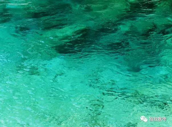 大洪山风景区白龙池传说,随州民间传说九龙山的故事