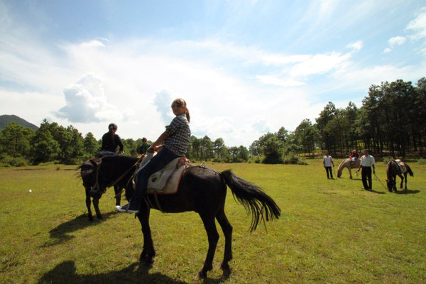 丽江可以划船骑马的地方,丽江拉市海骑马划船看雪山