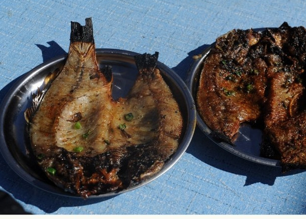 丽江可以划船骑马的地方,丽江拉市海骑马划船看雪山