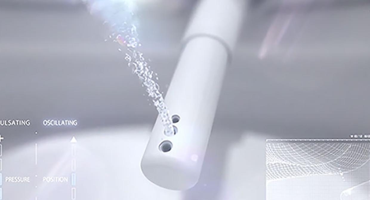 年前最后一笔大钱就花在它们身上了