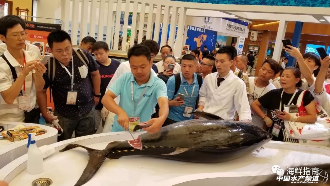 2019年海产行业,海产行业的感悟心得分享