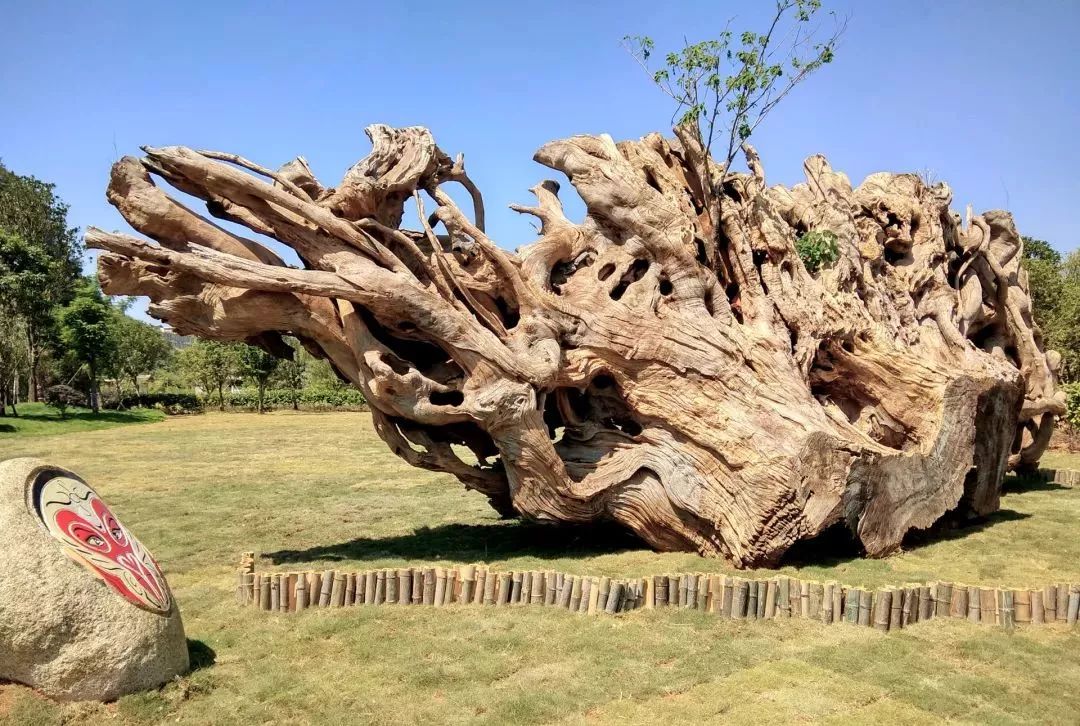 探访桂林东西巷历史文化街区,城事记忆展