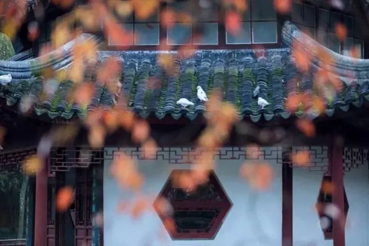 如何用诗经和楚辞取名字,如何用诗经取一个好名字