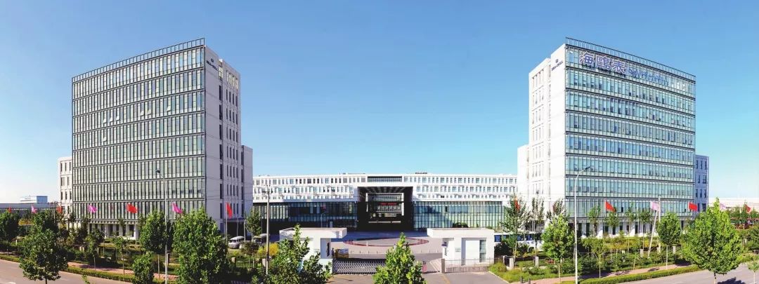 彩云飞处海鸥飞精彩片段,海面海鸥飞风景视频素材