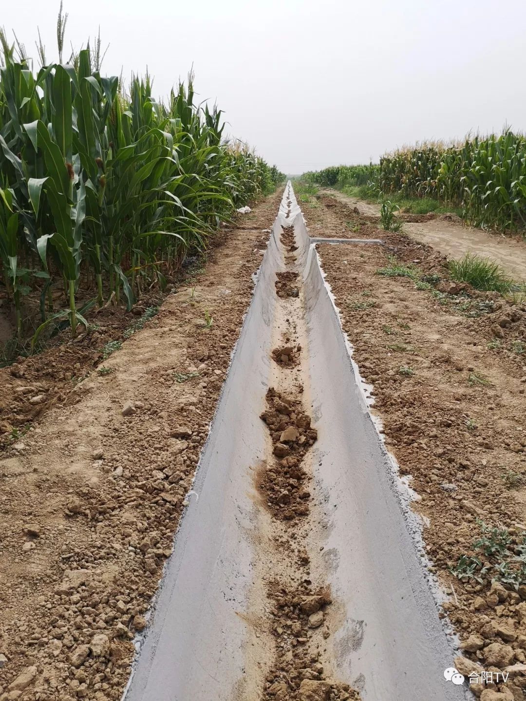 粮食和物资储备局2021年工作总结,粮食局主要工作任务