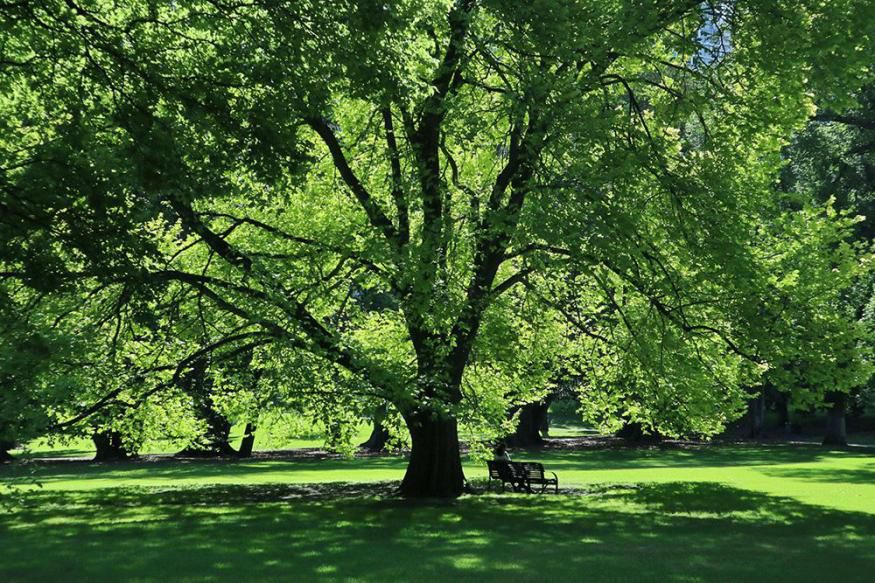 澳洲大堡礁攻略,澳洲大堡礁如何玩