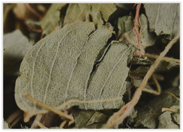 中药知识必学牛膝,中药知识必学昆布