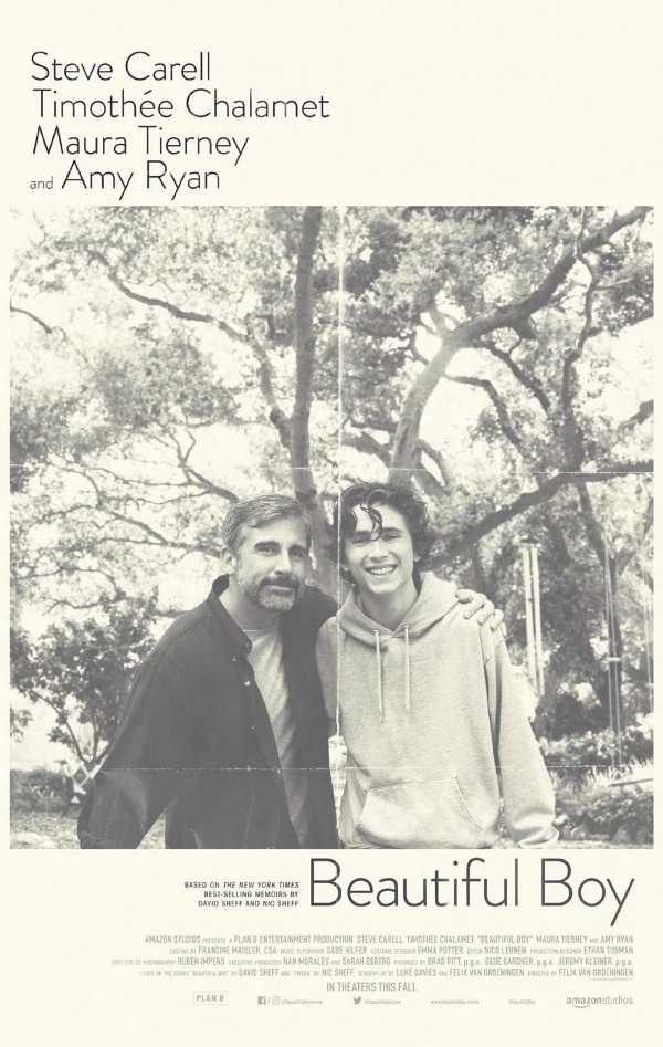 甜茶漂亮男孩原型,甜茶演的漂亮男孩在线看