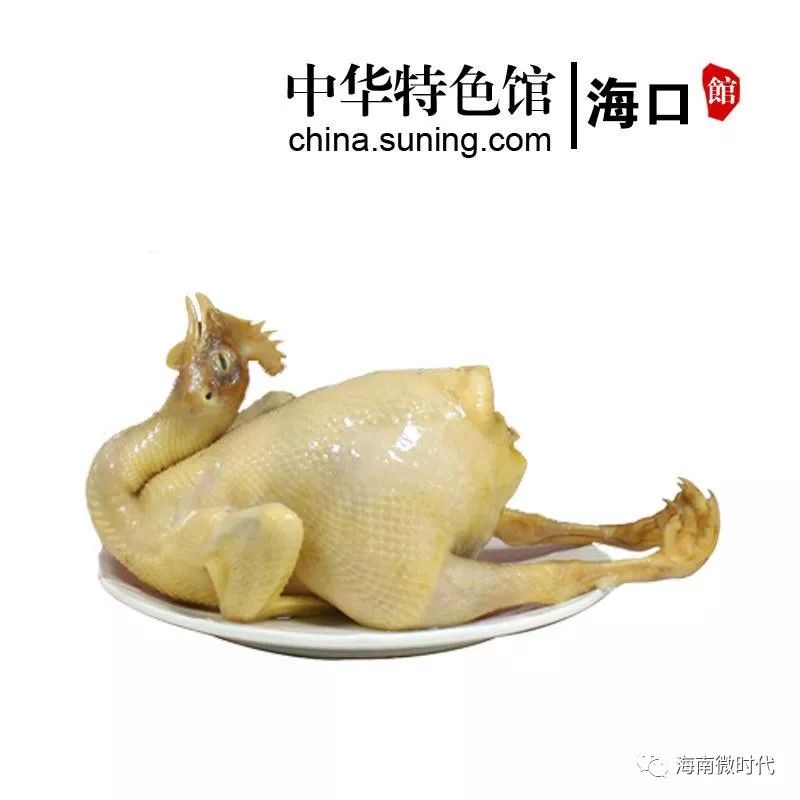 何为海口,啥是海