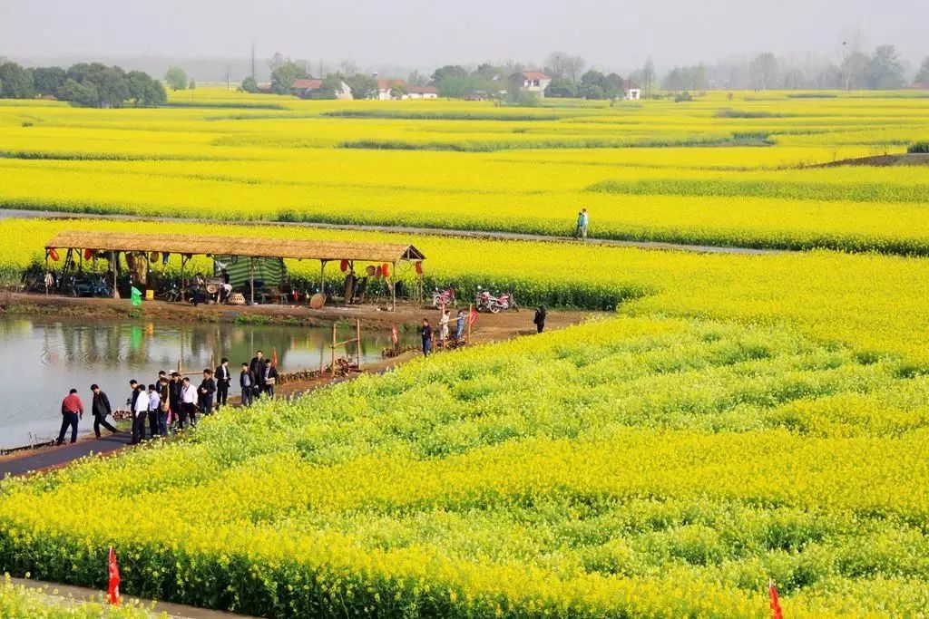 郑州市长向世界发出邀请,郑州向全球招才引智